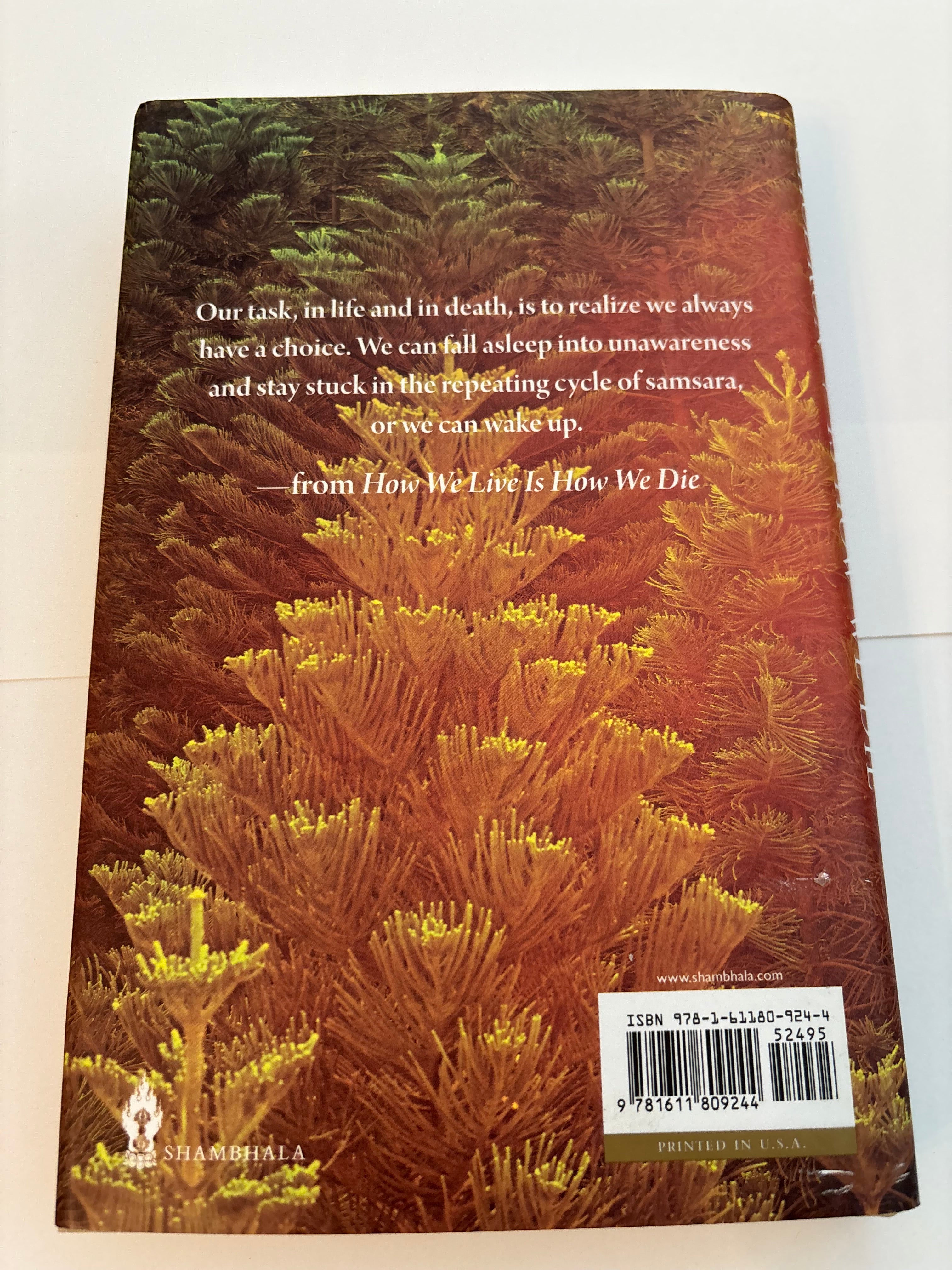 How we Live is How we Die - Pema Chodron