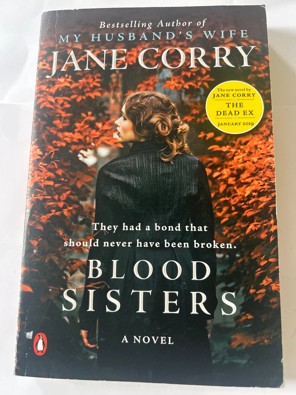 Blood sisters - Jane Corry