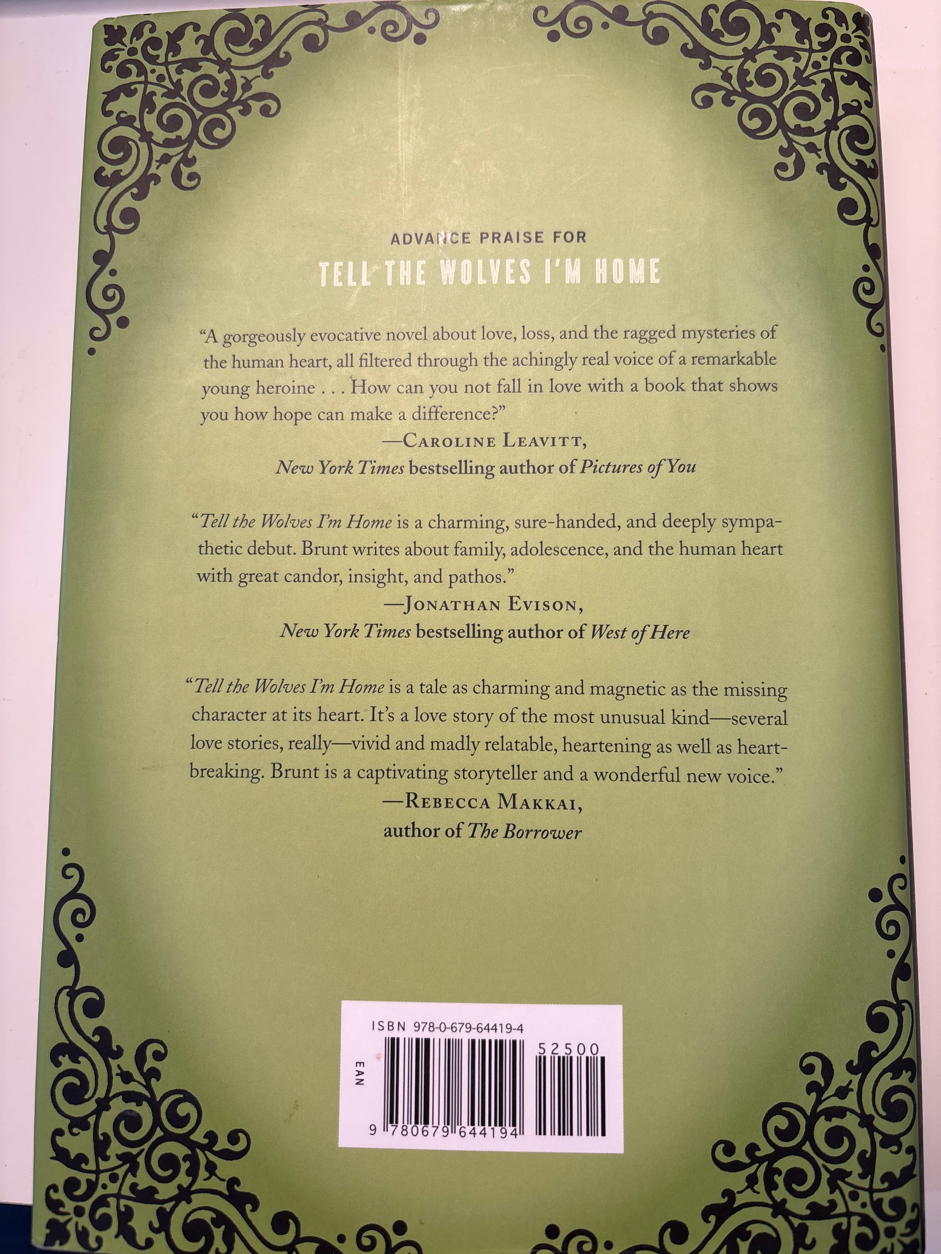 Tell the Wolves I'm Home - Carol Rifka brunt