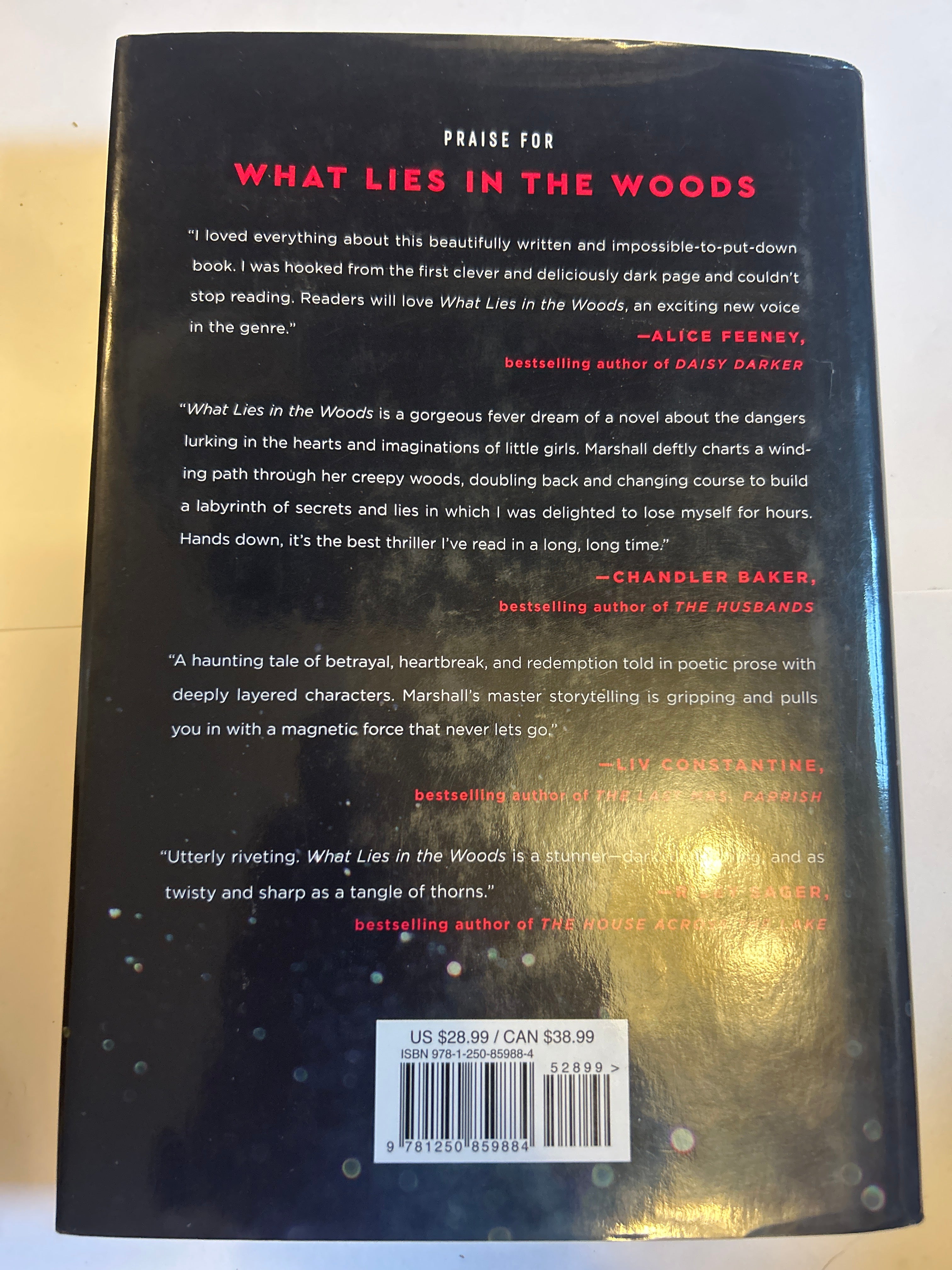 What lies in the woods - Kate Alice Marshall