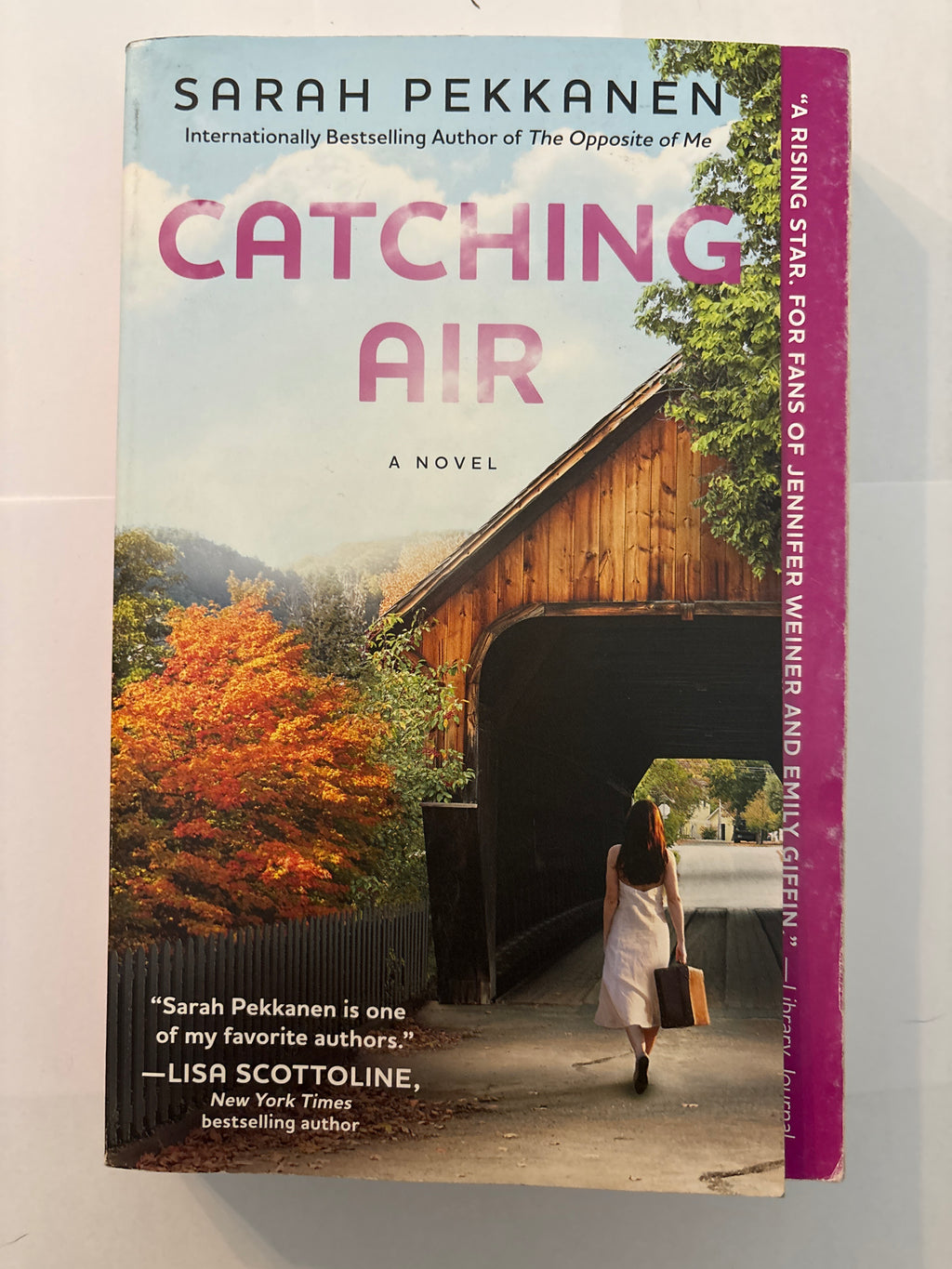 Catching Air - Sarah Pekkanen