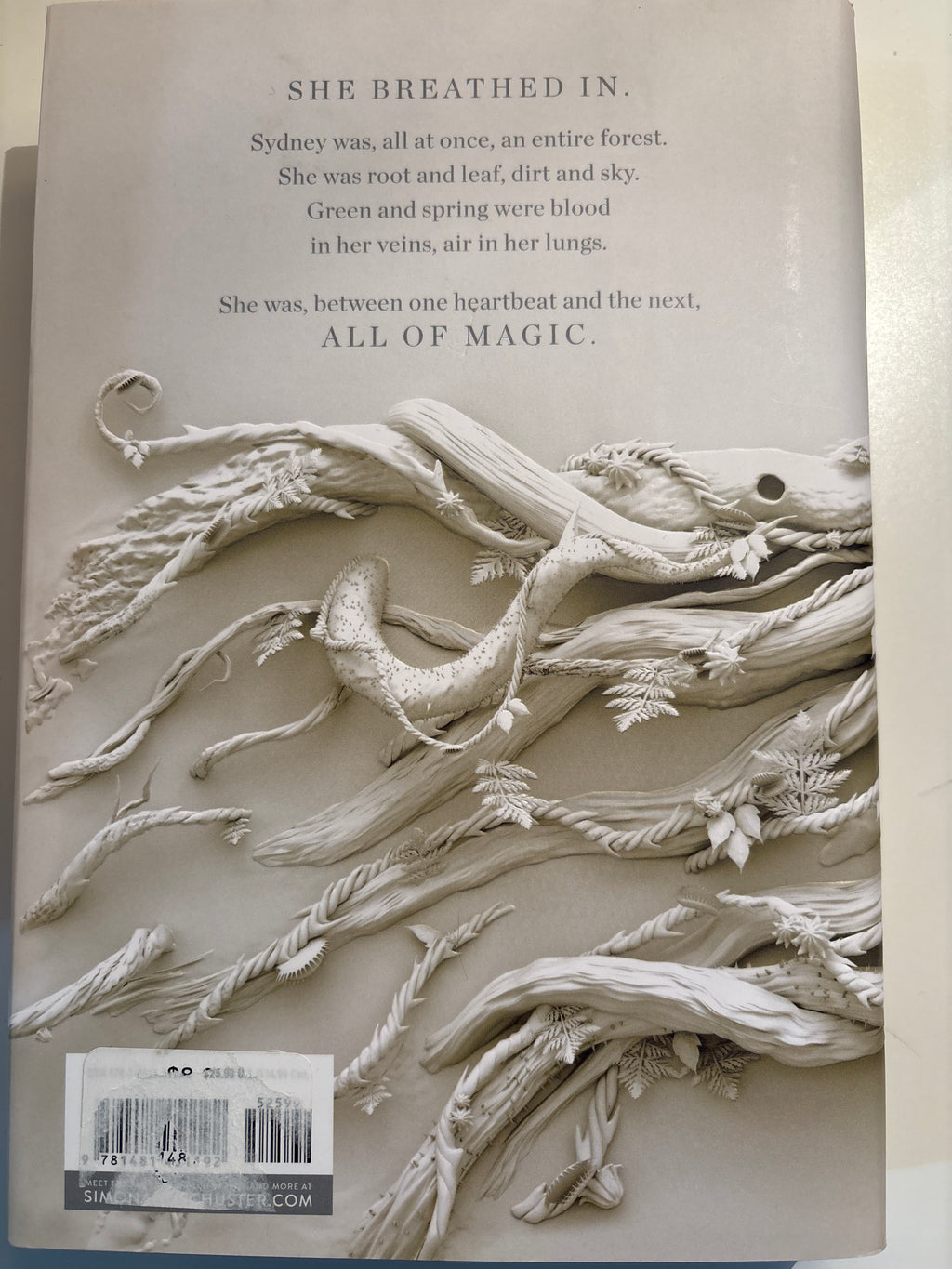 An Unkindness of Magicians - Kat Howard