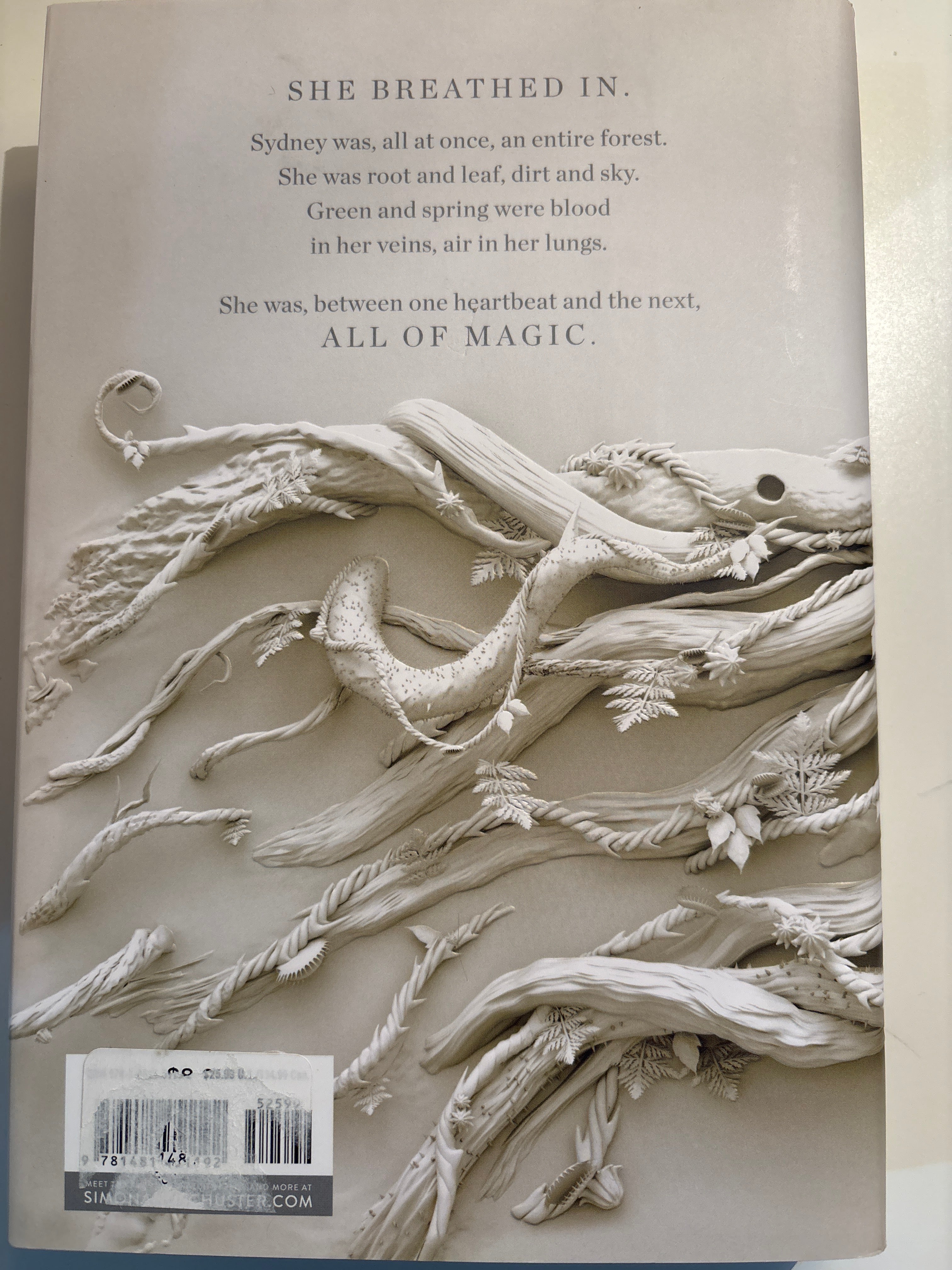 An Unkindness of Magicians - Kat Howard