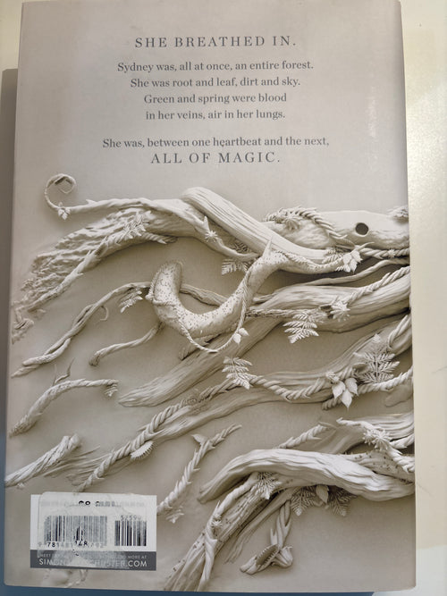 An Unkindness of Magicians - Kat Howard