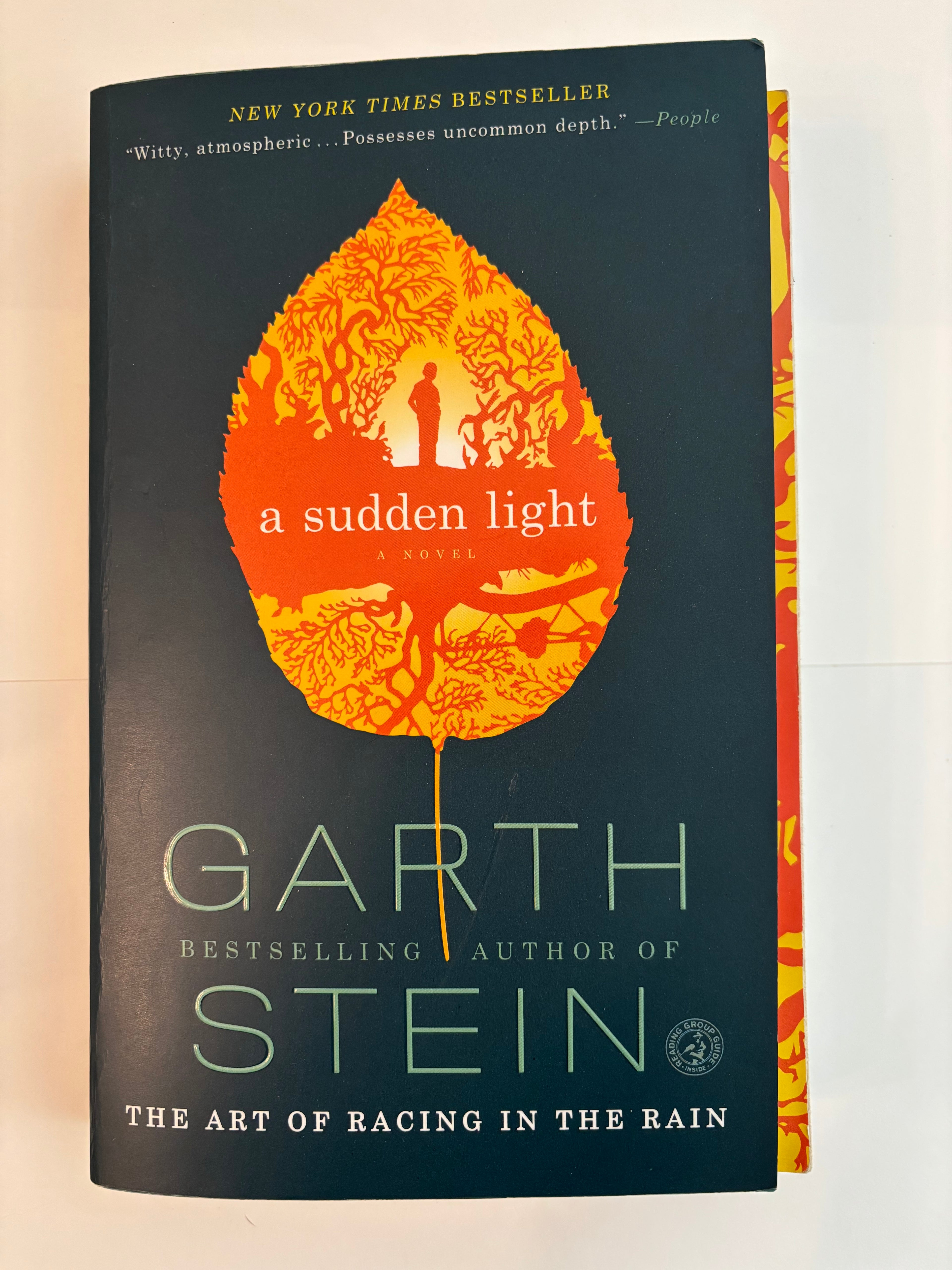 A Sudden Light - Garth Stein