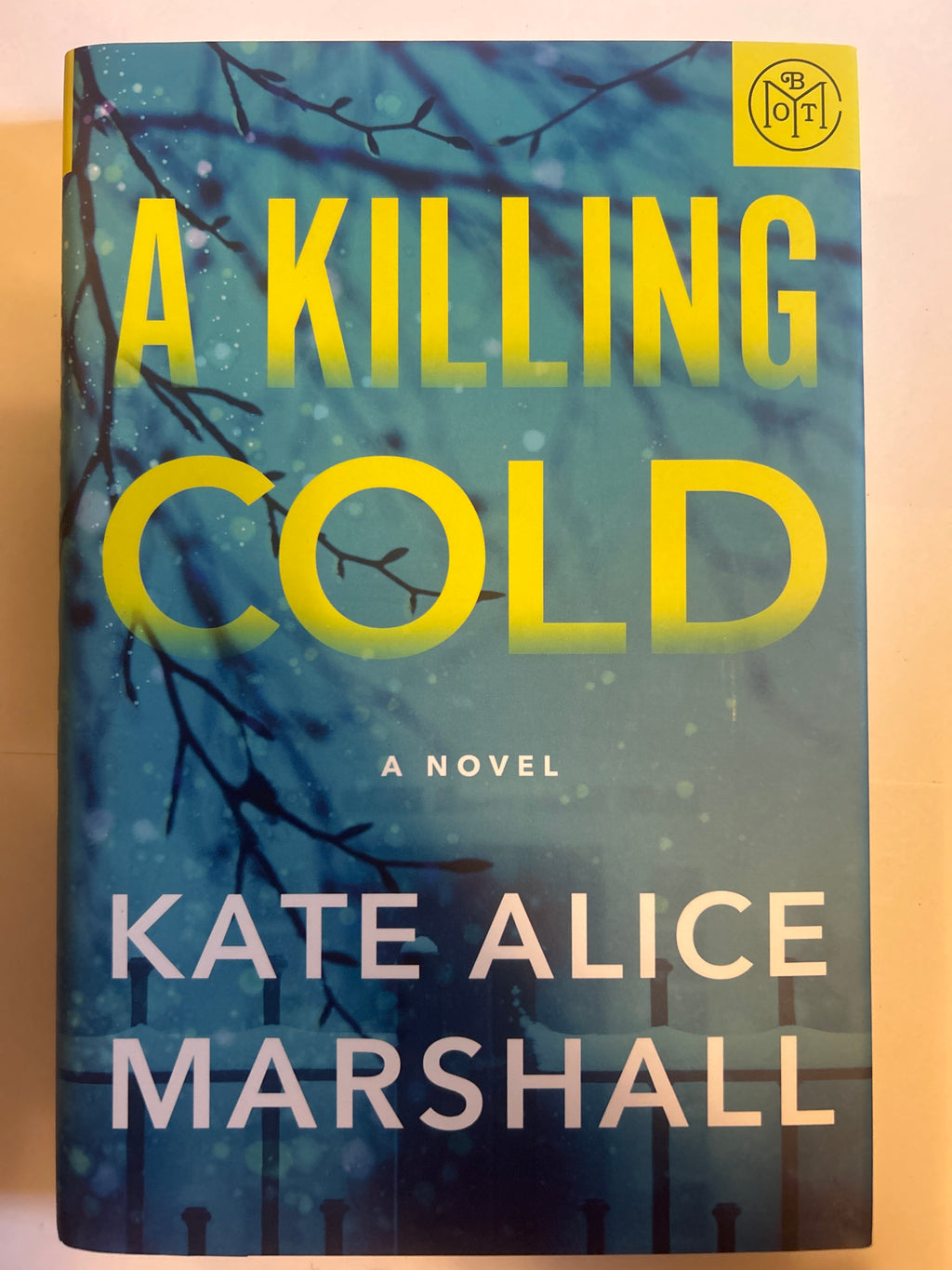 A killing cold - Kate Alice Marshall