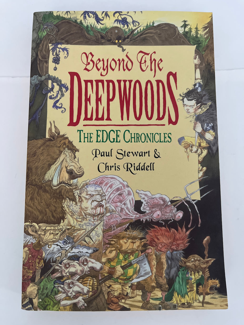 Beyond the deep woods - Paul Stewart & Chris riddell
