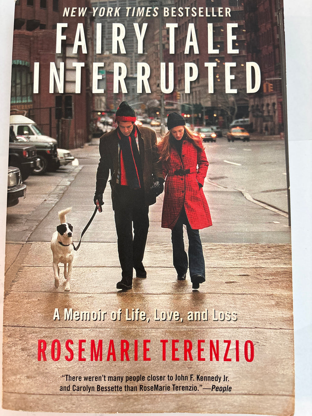 Fairy Tale Interrupted - Rosemarie Terenzio