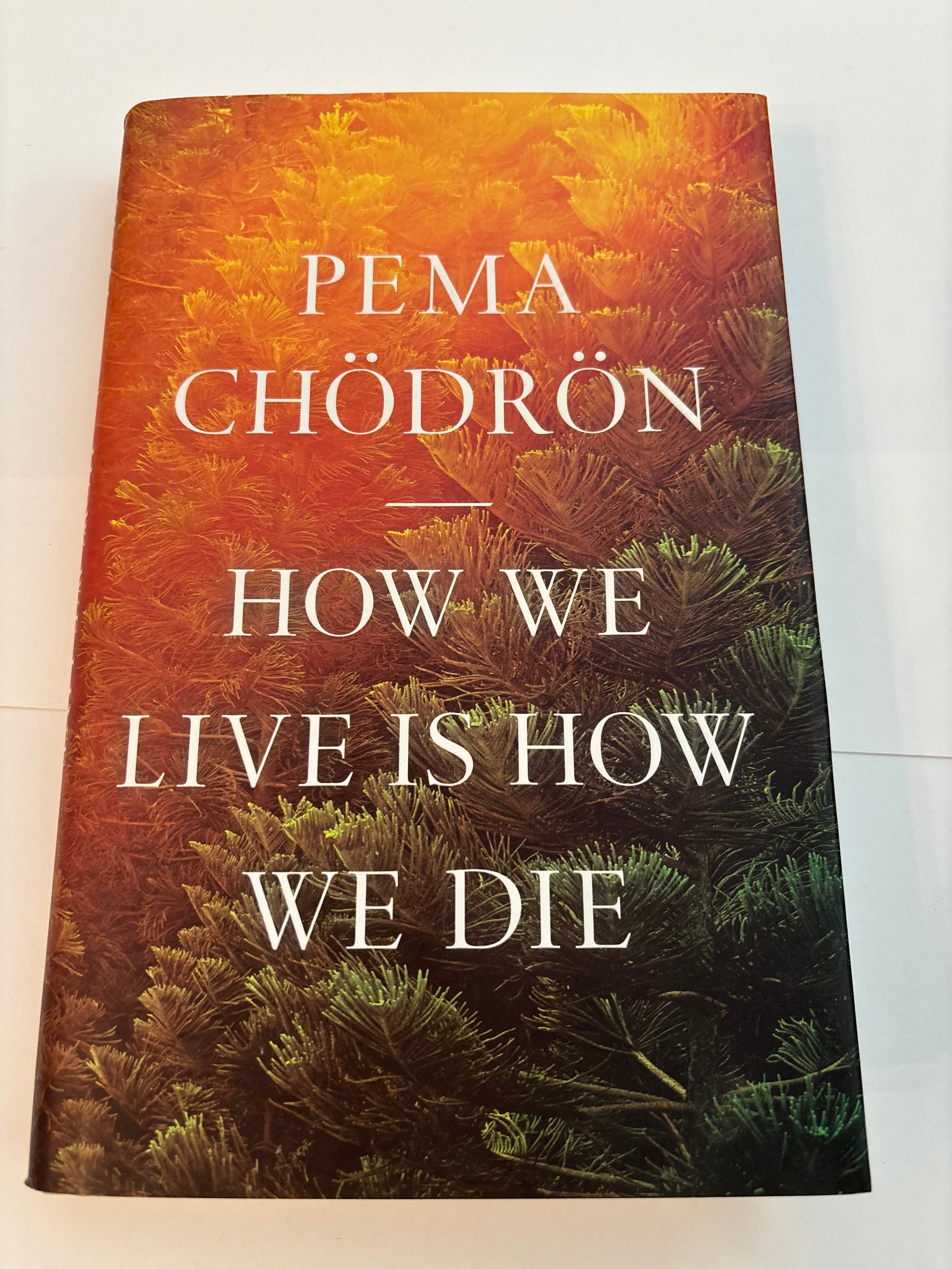 How we Live is How we Die - Pema Chodron