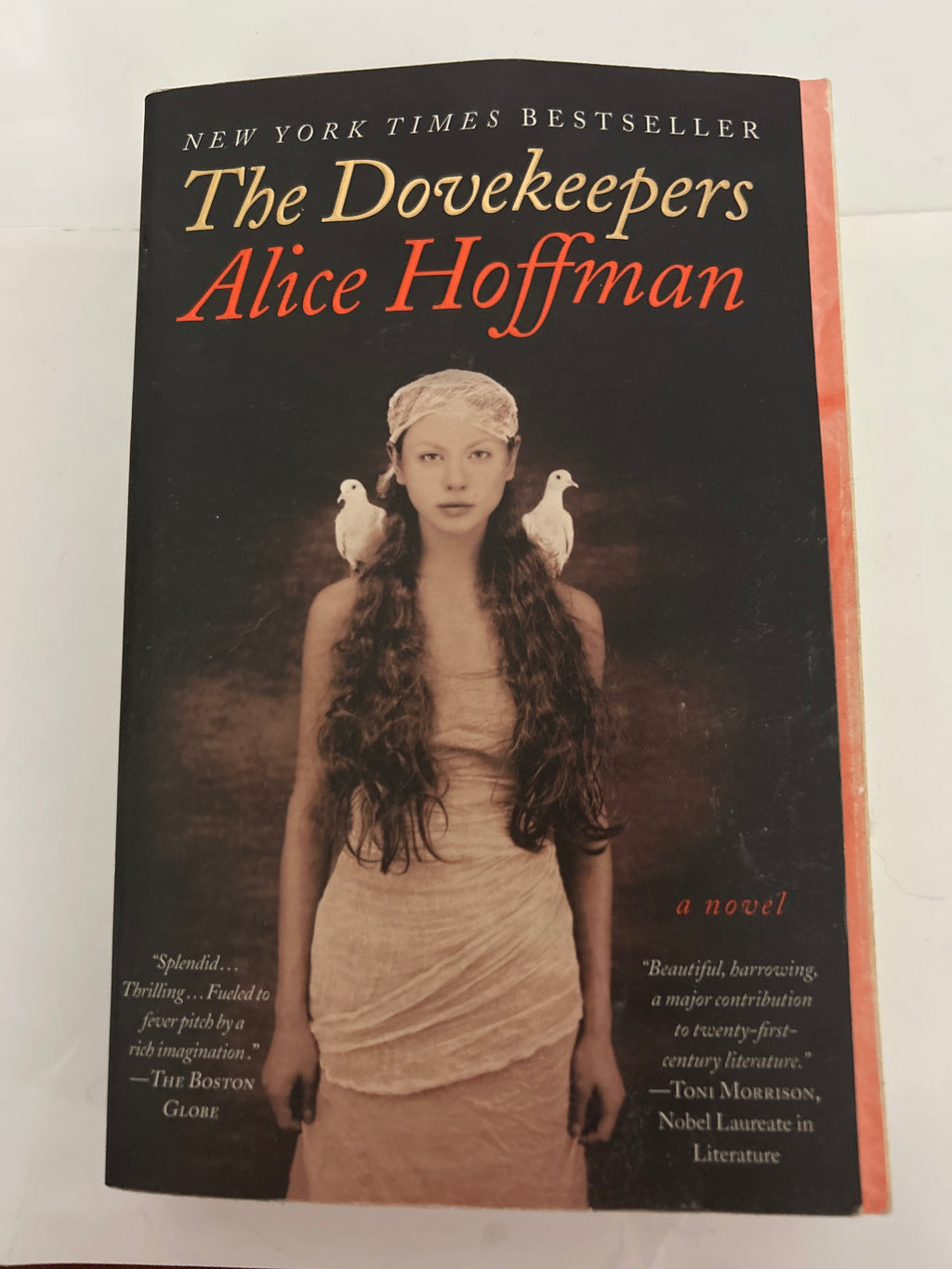 The dove keepers - Alice Hoffman