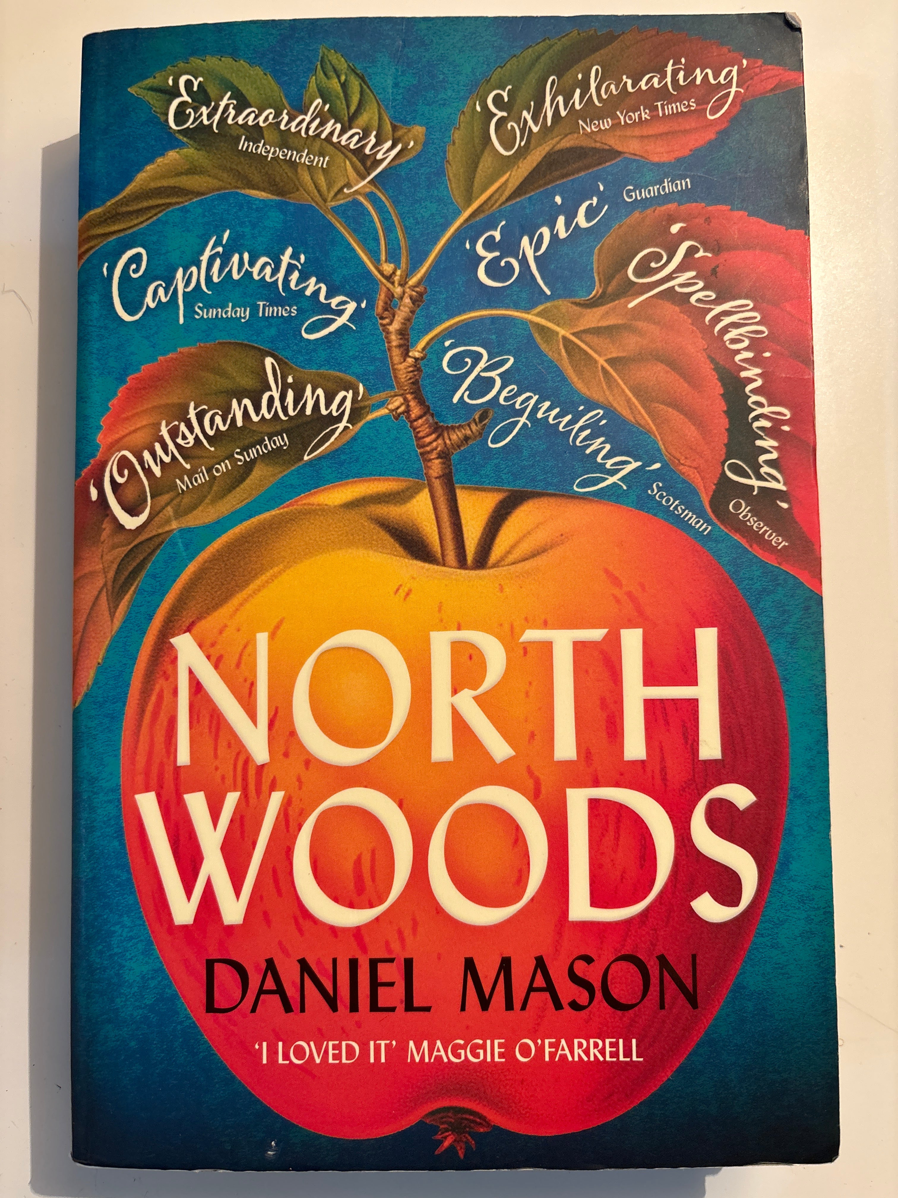 North Woods - Daniel Mason