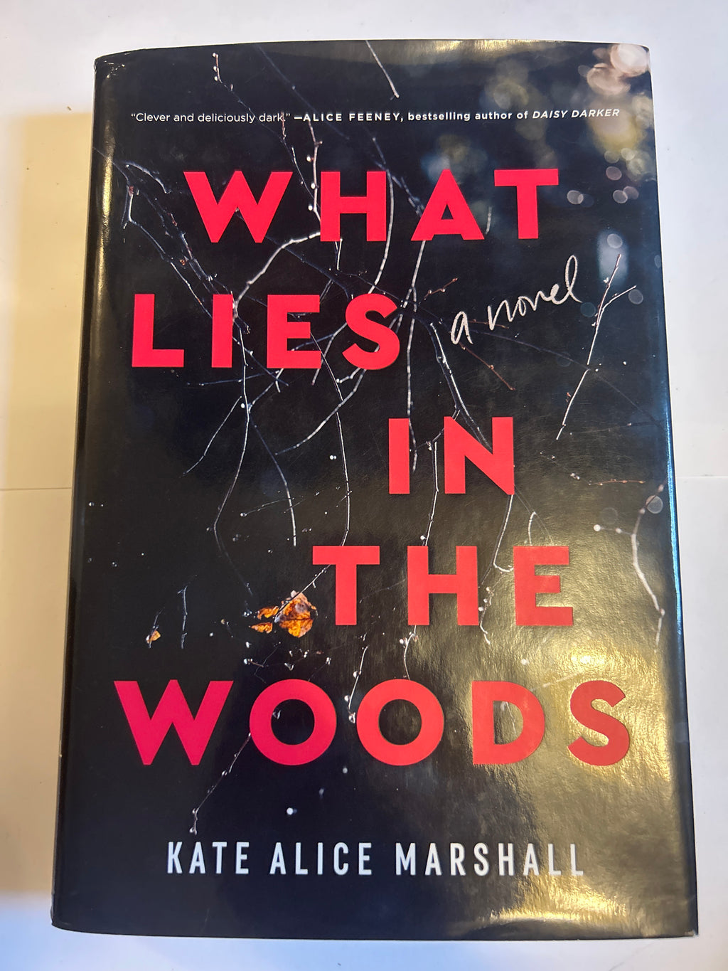 What lies in the woods - Kate Alice Marshall