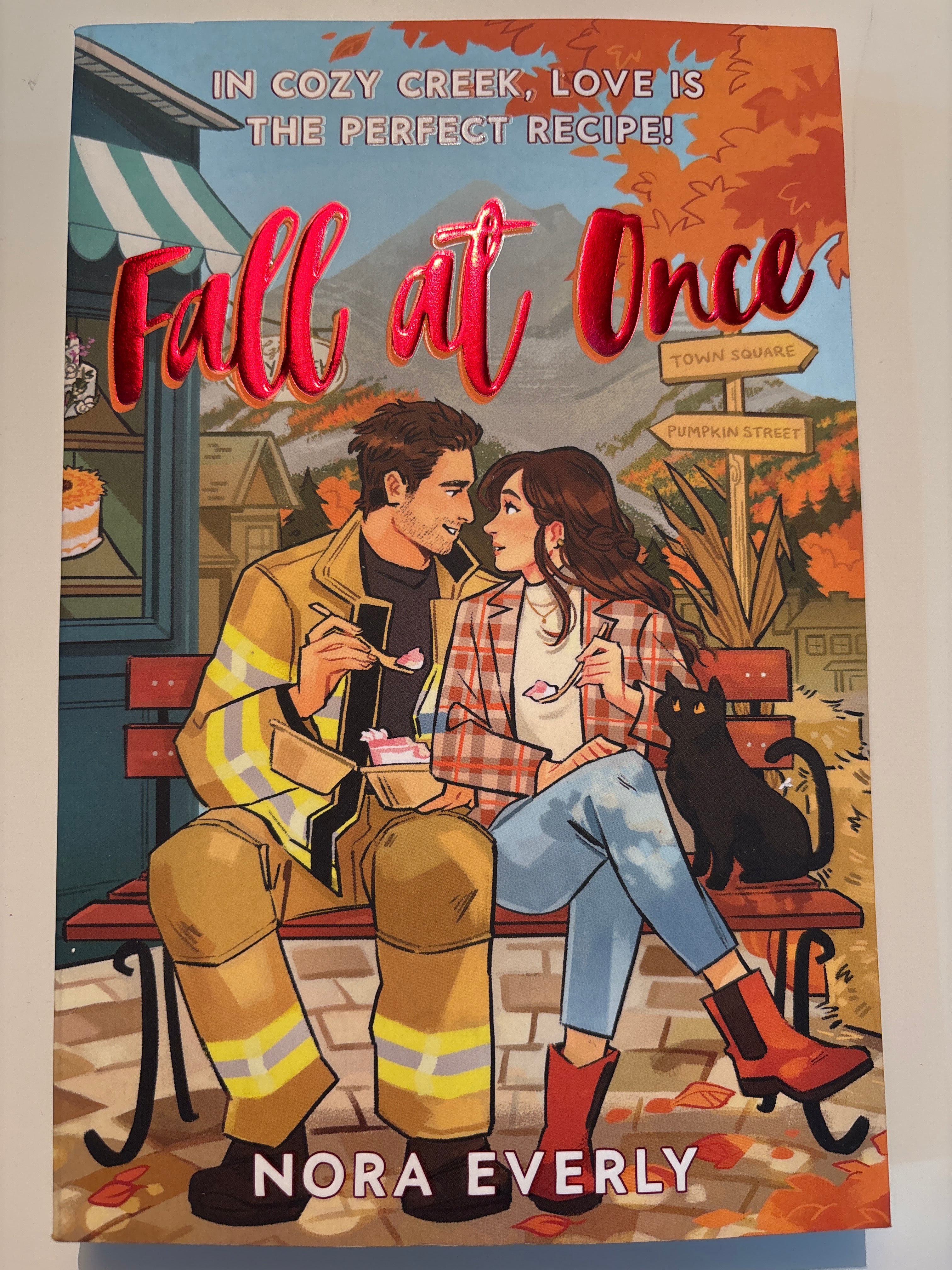 Fall at Once - Nora Everly