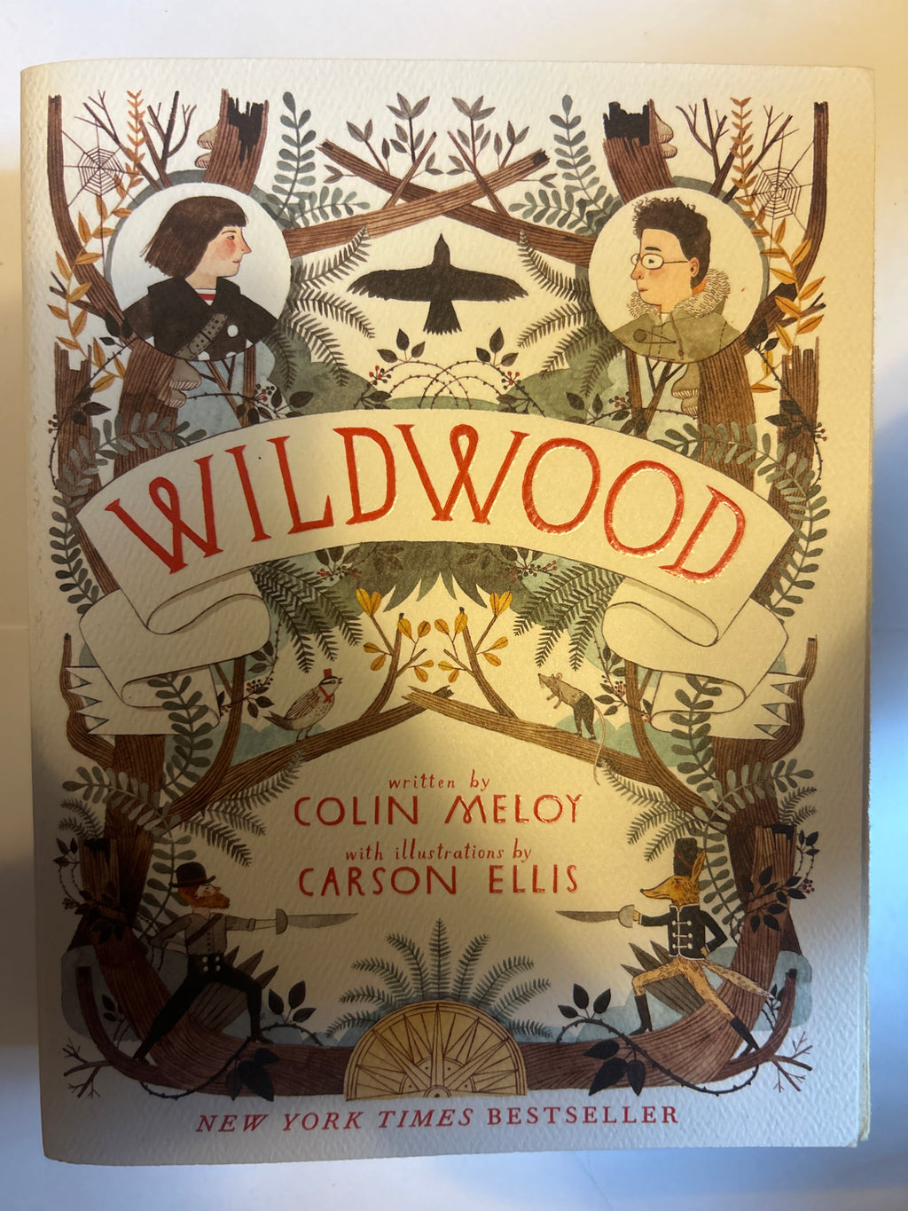 Wildwood- colin meloy carson ellis