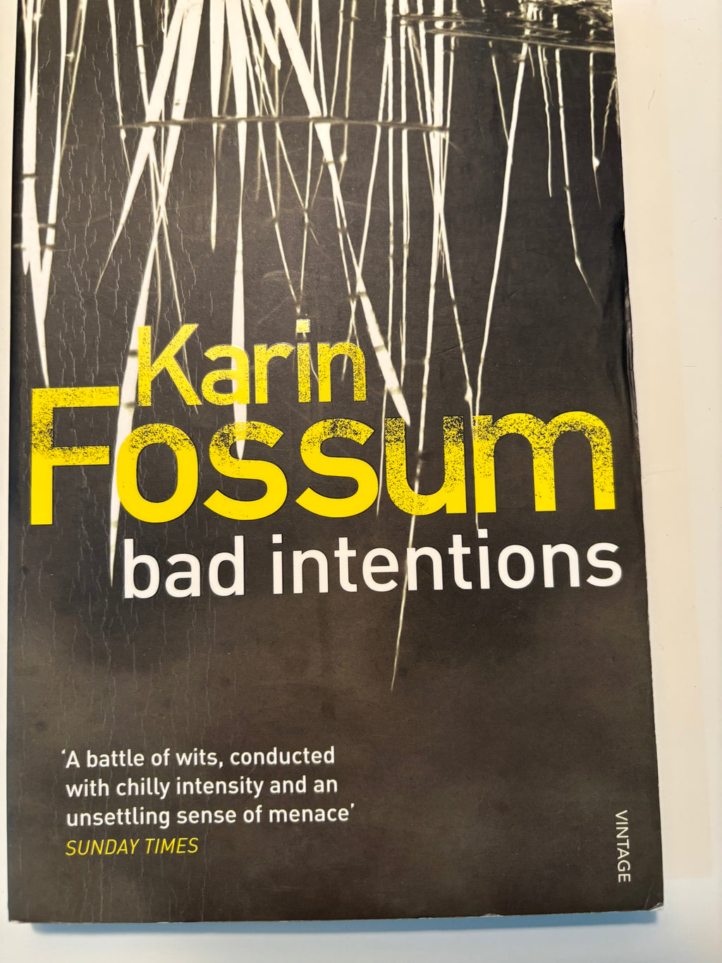Bad Intentions - Karin Fossum