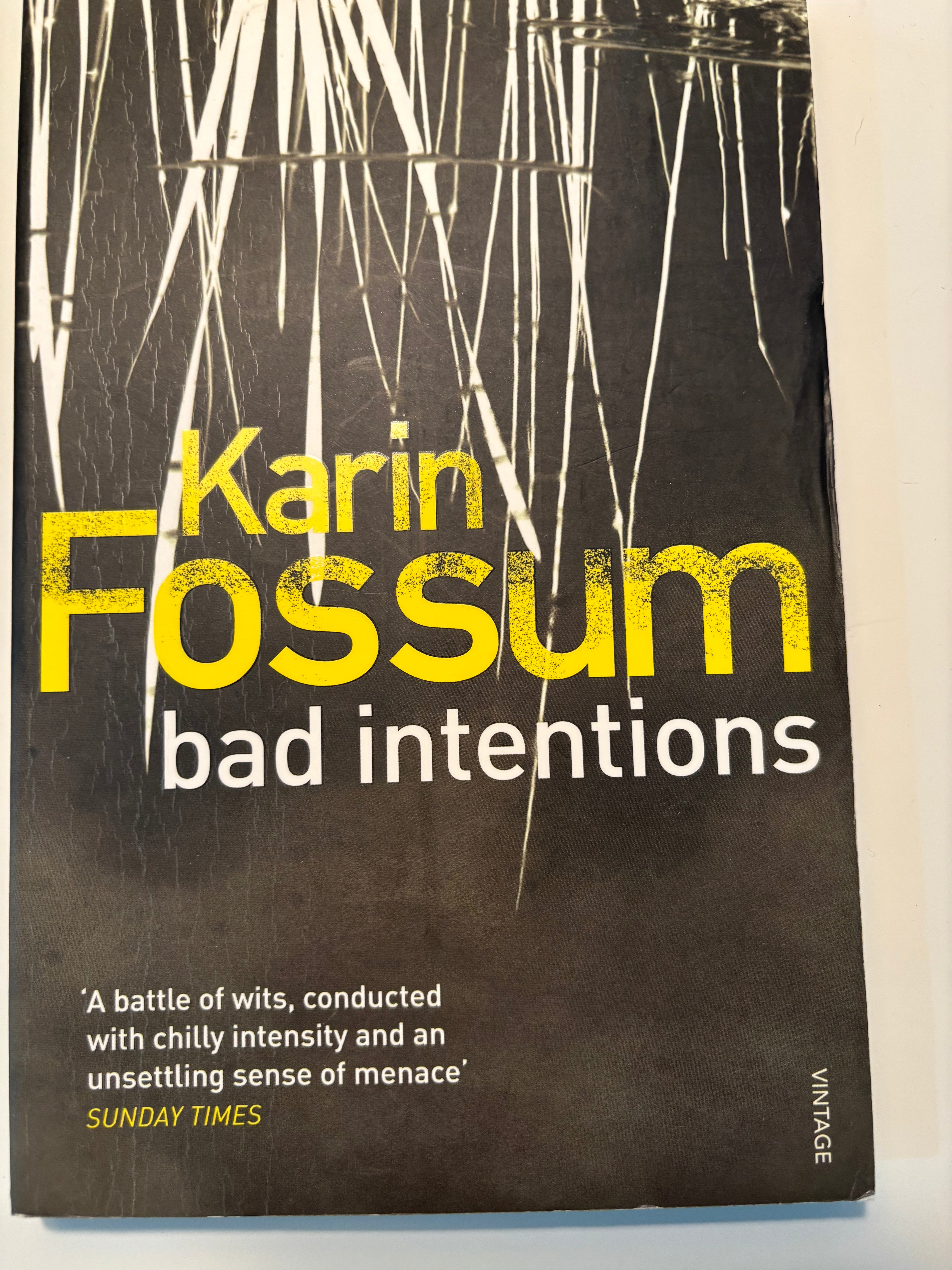 Bad Intentions - Karin Fossum
