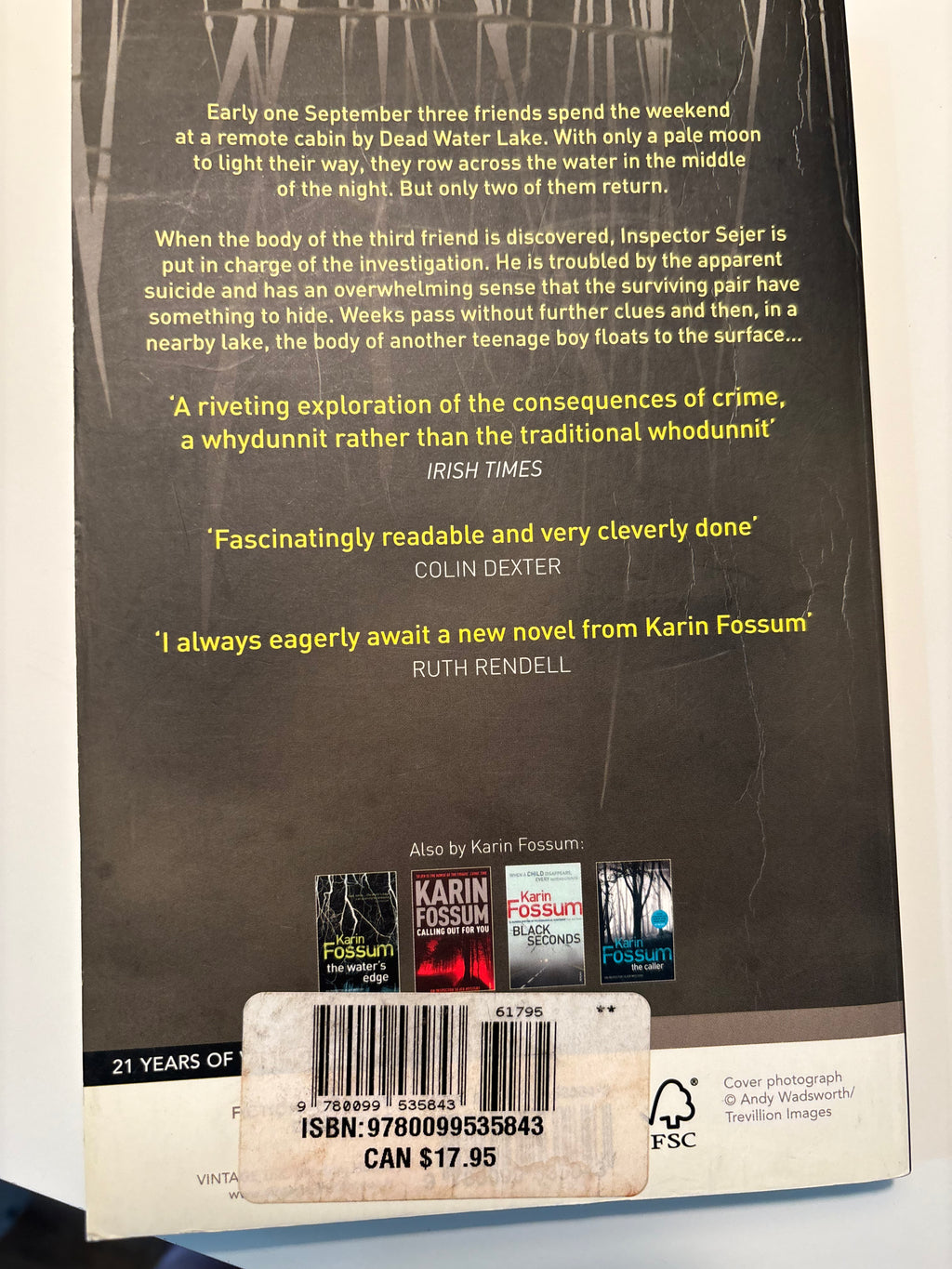 Bad Intentions - Karin Fossum