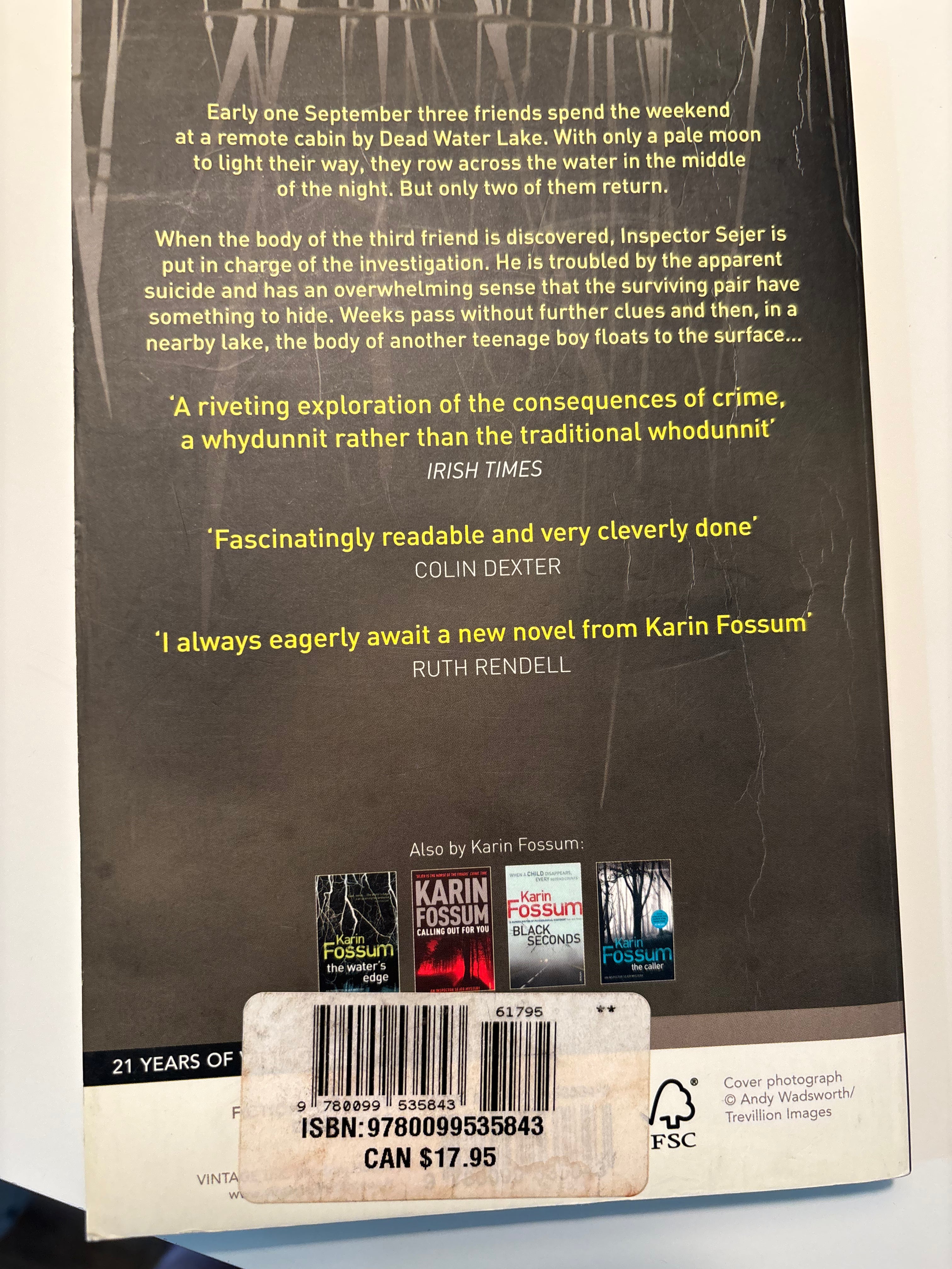 Bad Intentions - Karin Fossum