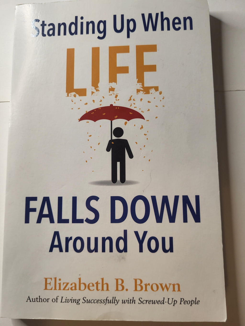 Standing Up When Life Falls Down Around You - Elizabeth B. Brown