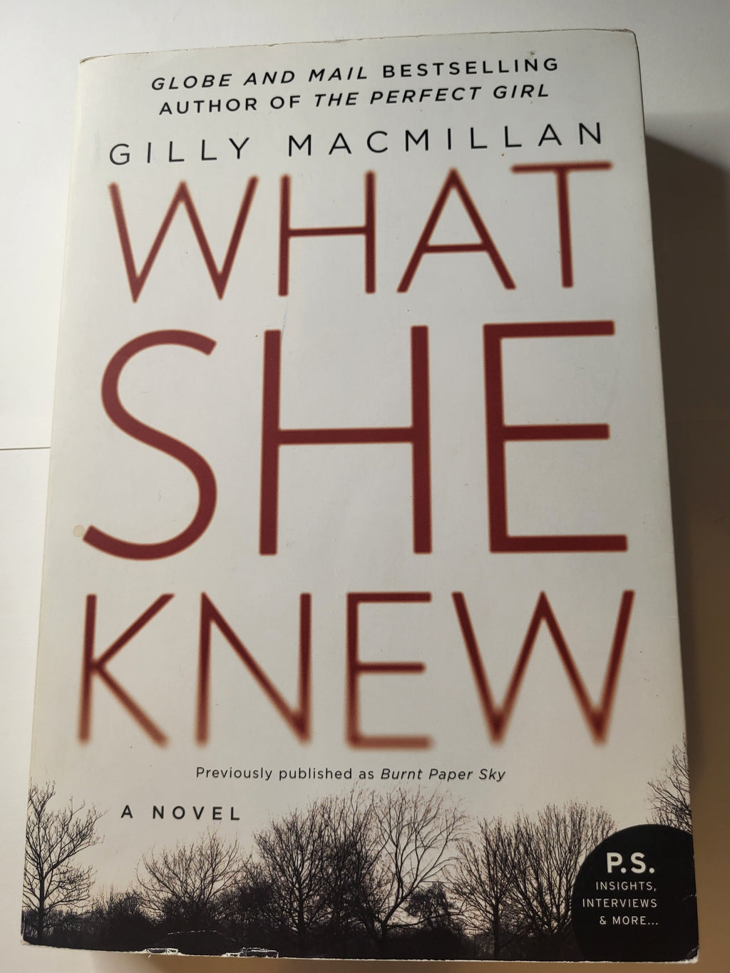 What She Knew - Gilly Macmillan