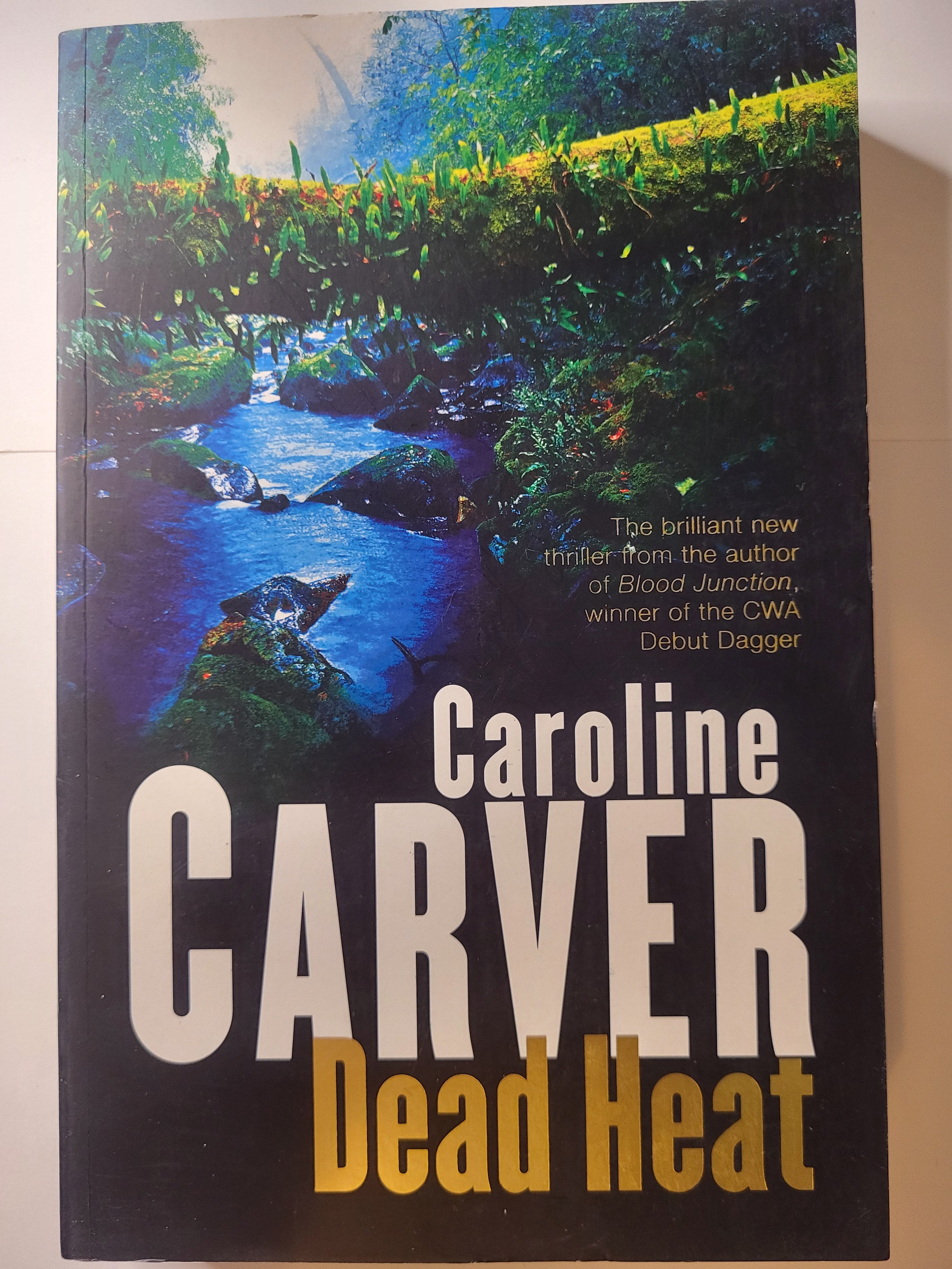 Dead Heat - Caroline Carver