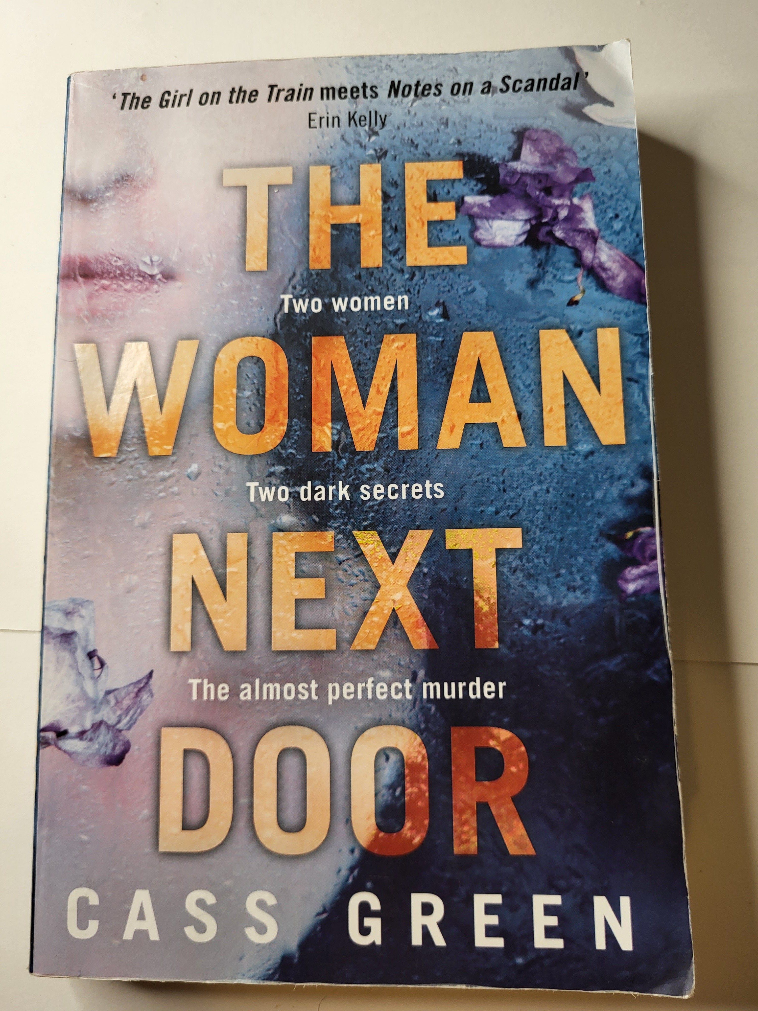 The Woman Next Door - Cass Green