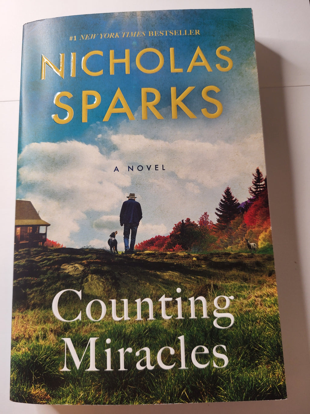 Counting Miracles - Nicholas Sparks