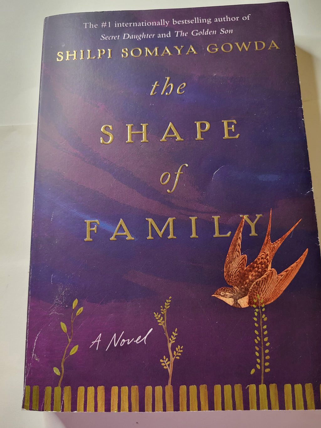 The Shape of Family - Shilpi Somaya Gowda