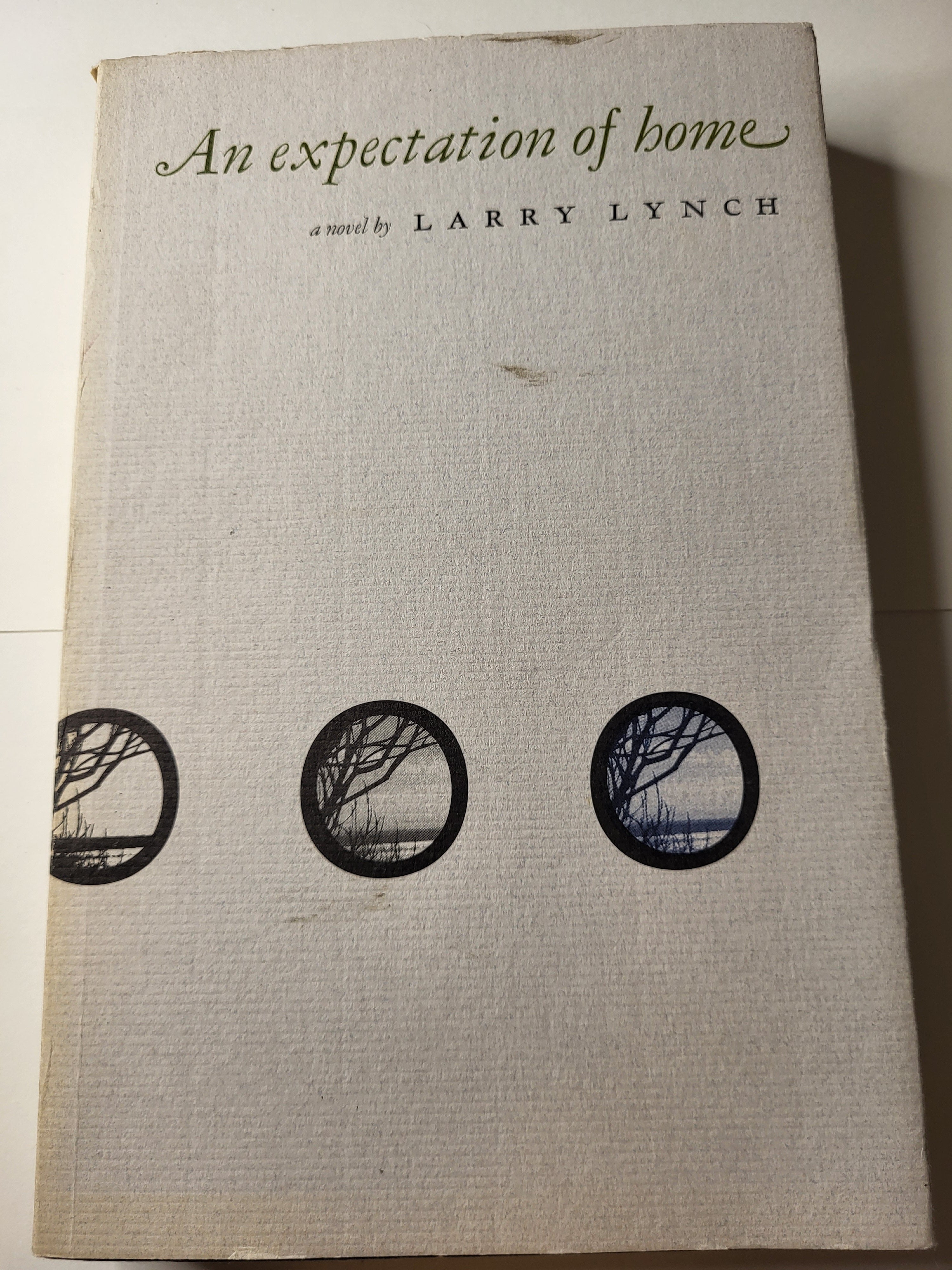 An Expectation of Home - Larry Lynch