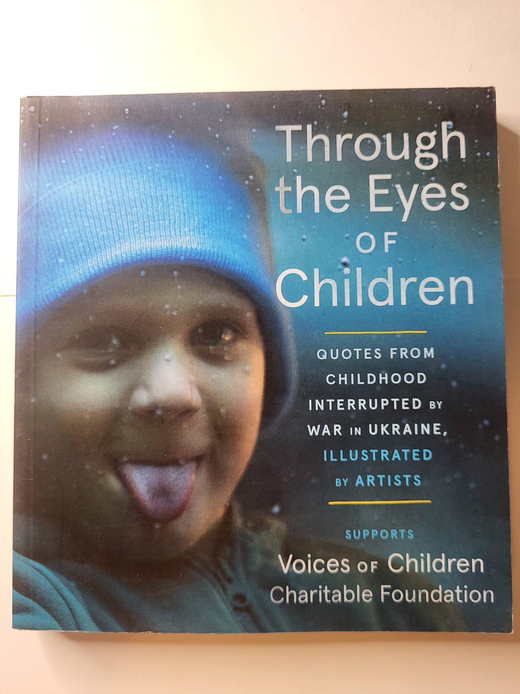Though the Eyes of Children - Voices of Children Charitable Foundation