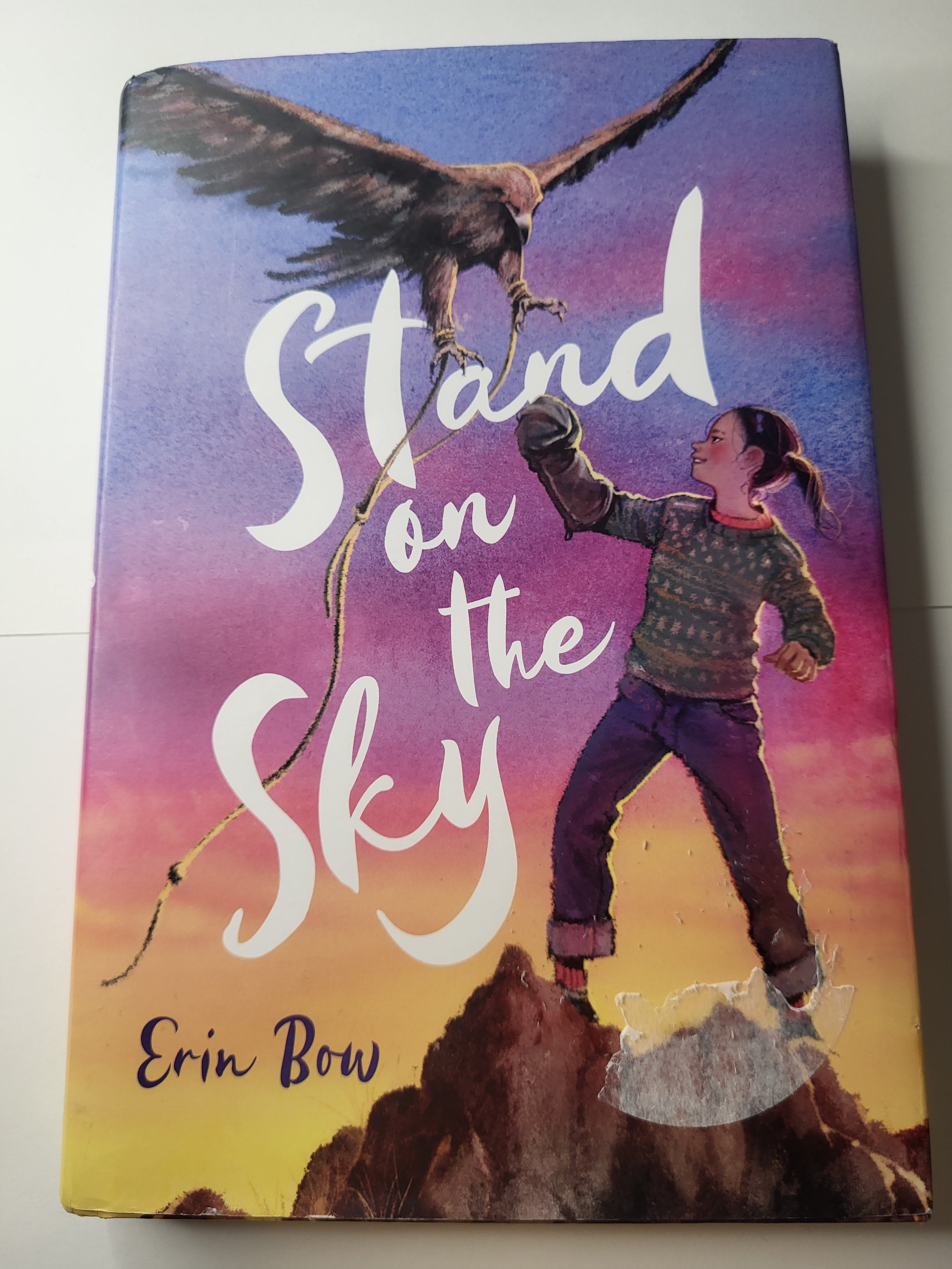 Stand on the Sky - Erin Bow